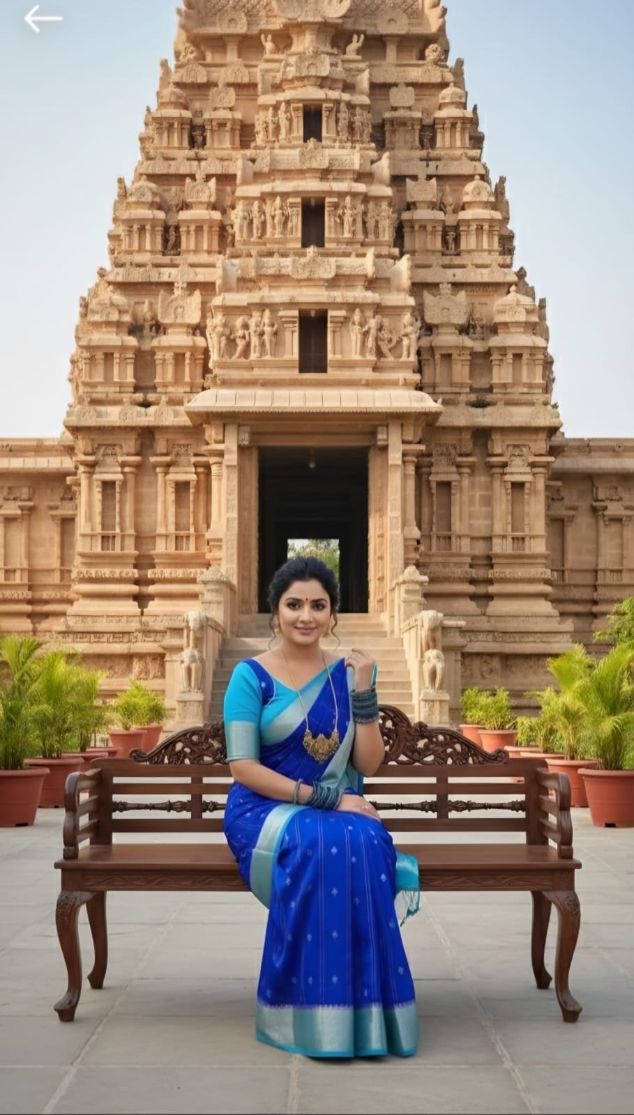 Banarasi Chinya Silk image 8