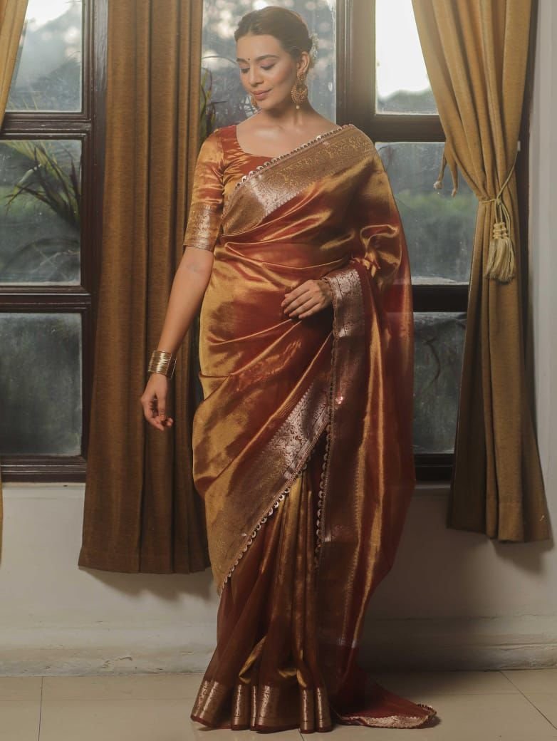 6 Banarasi Tissue Silk image 2