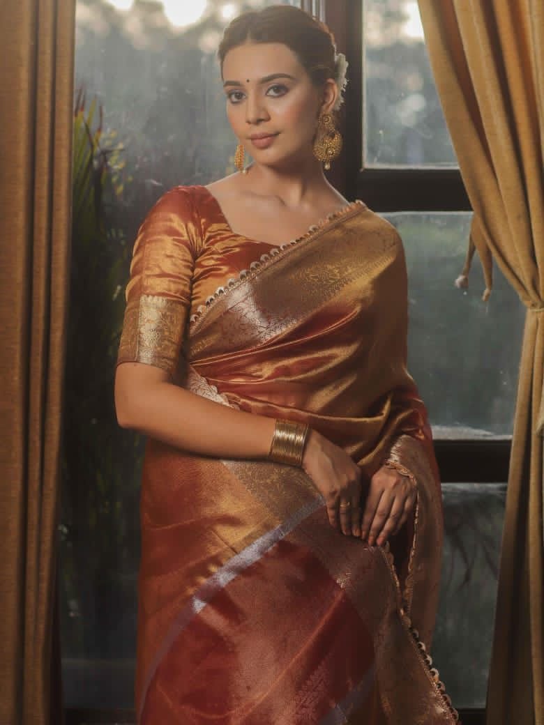 6 Banarasi Tissue Silk image 5